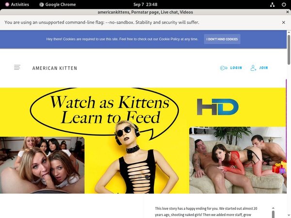Americankitten.com Vxsbill Page
