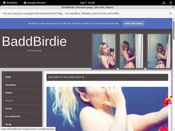 BaddBirdie Premium Accounts Free