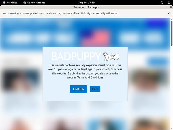 Badpuppy Blog