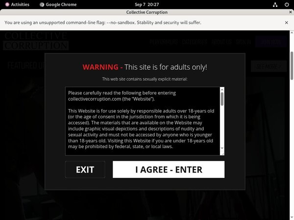 [Image: Collective-Corruption-Billing-Page.jpg]