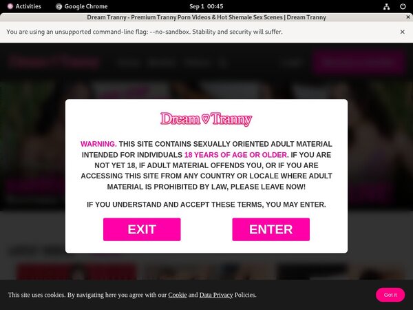 Dreamtranny Pass Login