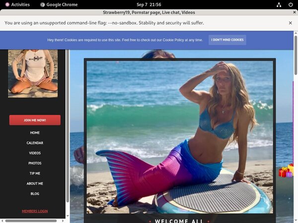 Free Strawberry19.modelcentro.com User And Pass