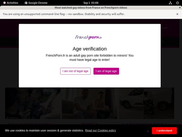French Porn Gayporn