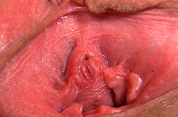 Gape My Pussy Com Logins s3