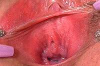 Gapemypussy.com Discount Info s0