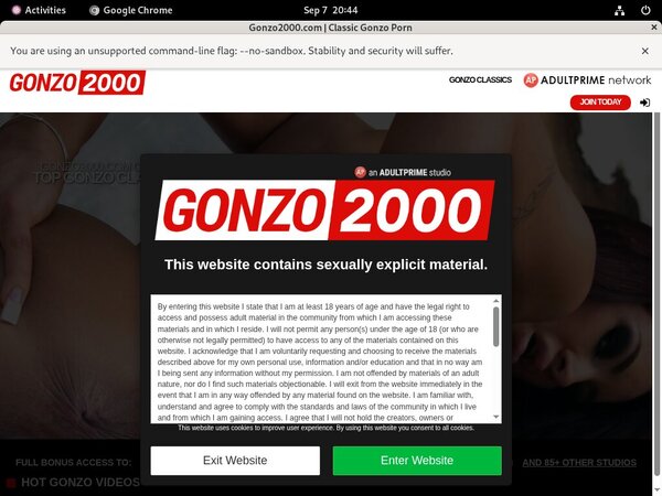 Gonzo2000.com Id