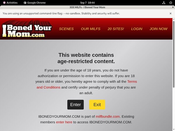 Ibonedyourmom Hd Porn