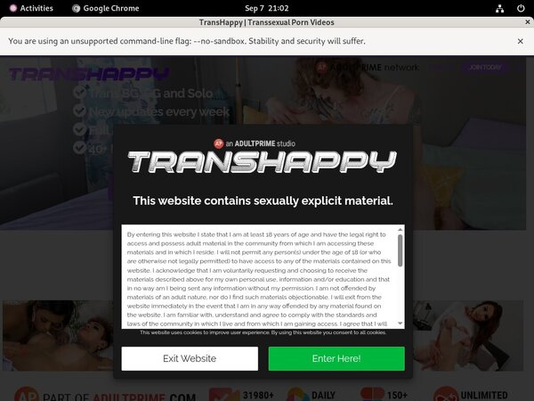 Is Transhappy.com Real?