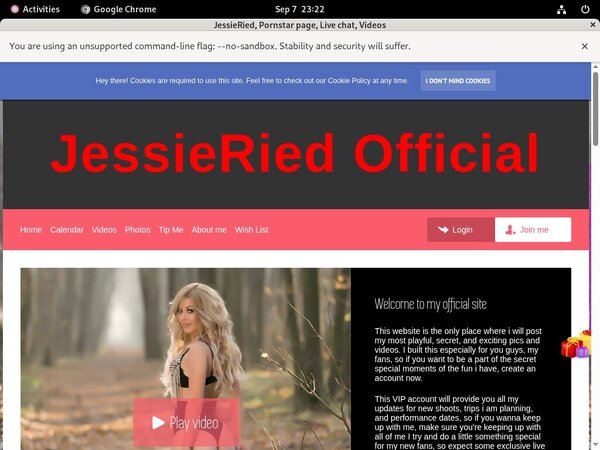 Jessieried.modelcentro.com Password