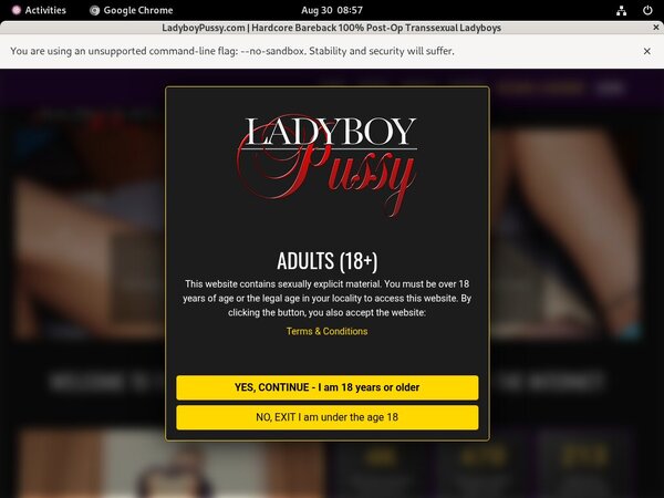 Joining Ladyboy Pussy