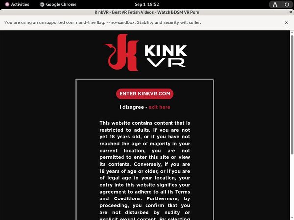 Kink VR Porn Accounts