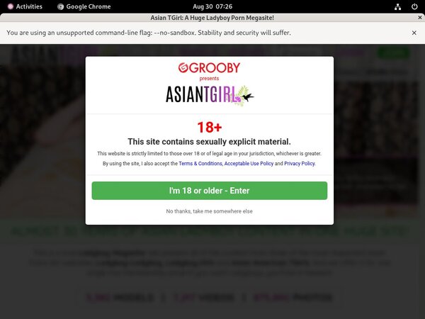 Ladyboy-ladyboy.com Account For Free