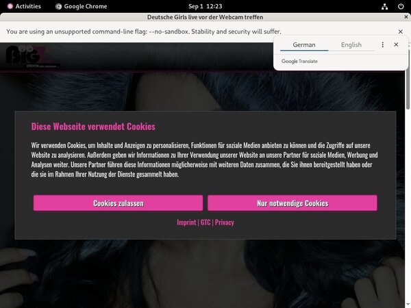 LanaGiselle Free Passwords