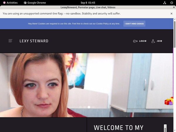 Lexxysteward.modelcentro.com Account Blog