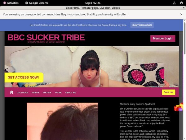 Linxer2013.modelcentro.com Free Trial Pass