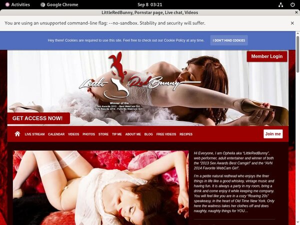 LittleRedBunny Payment Form