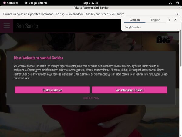 Log In Sari-sander.com