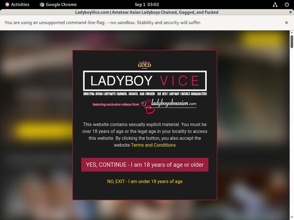 Login Ladyboyvice