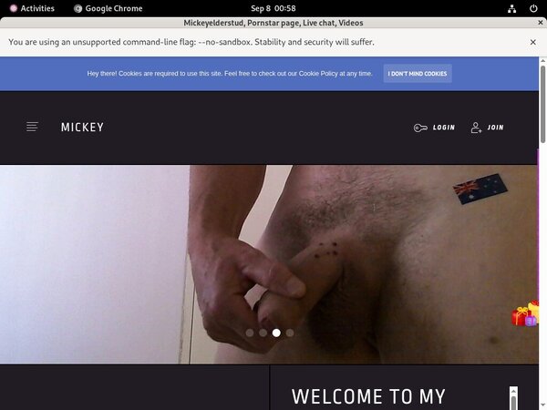 Mickeyelderstud.modelcentro.com Pay With