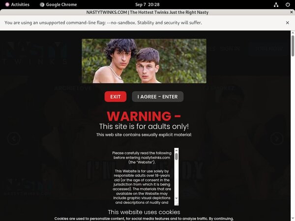 Nasty Twinks Porn Hub