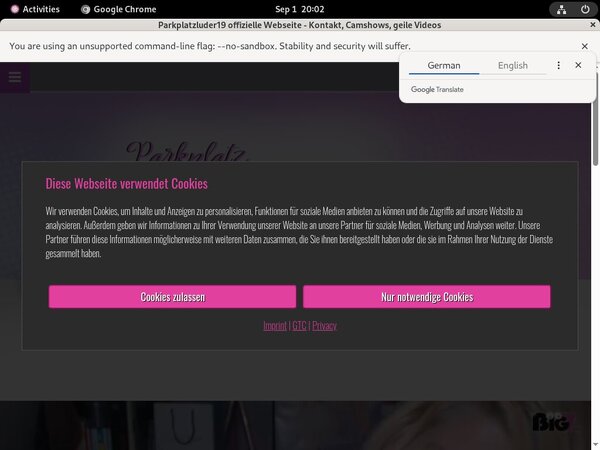 Parkplatzluder19 With Directpay