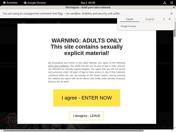 Pass Mental Passwords