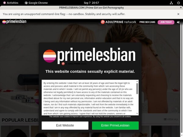 Paypal Lesbians Prime