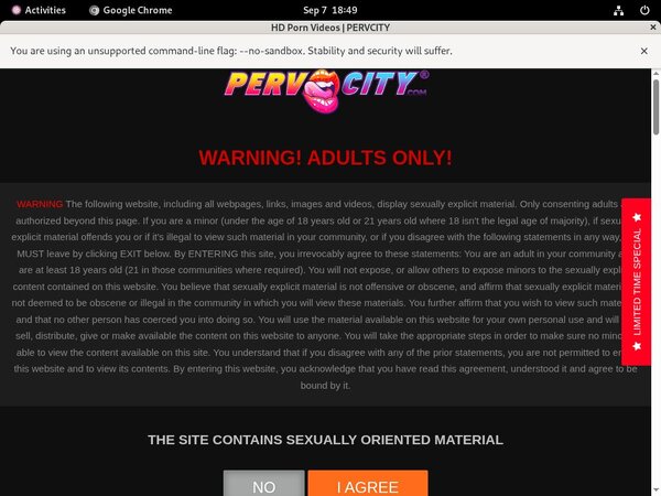 Perv City Pictures