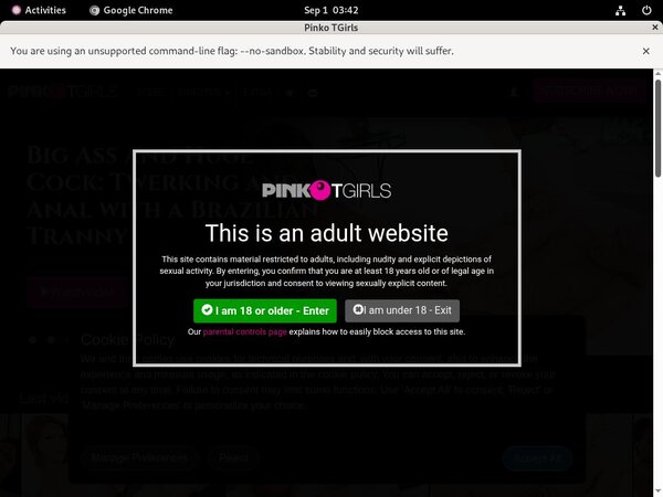 PinkO TGirls Paysafecard