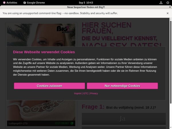 Porno Your Secret Dream