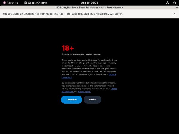 Pornprosnetwork Tour
