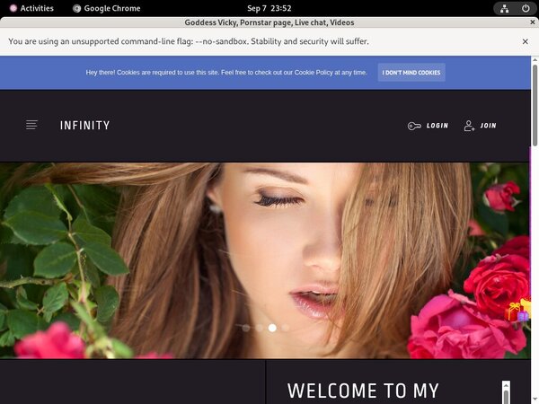 Vicky Goddess Logins