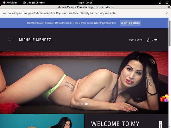 Michele Mendez Photo