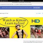 Freeamericankittens
